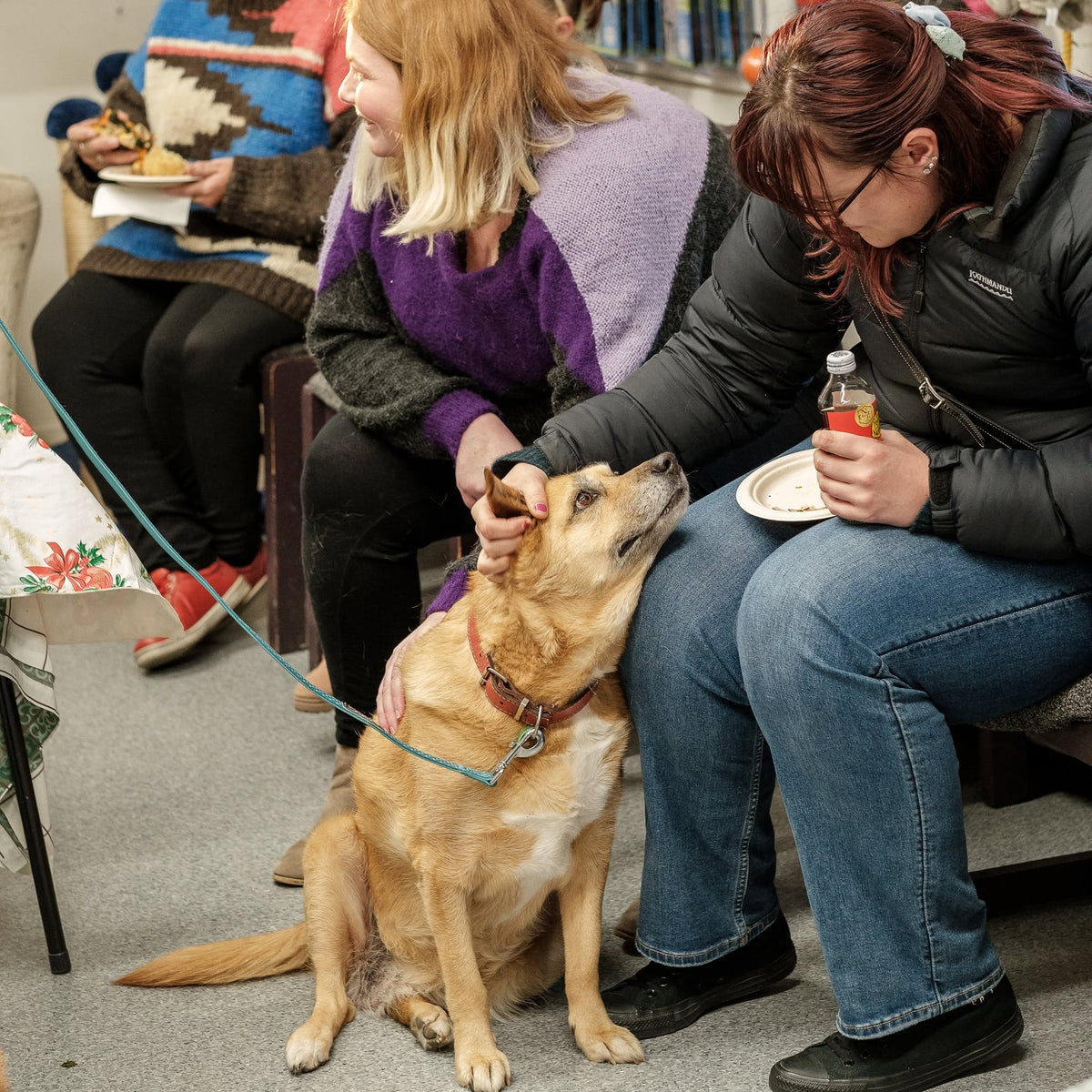 SPCA Nelson / Marlborough