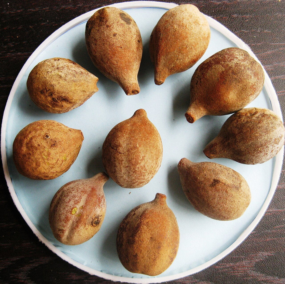 Terminalia Bellerica