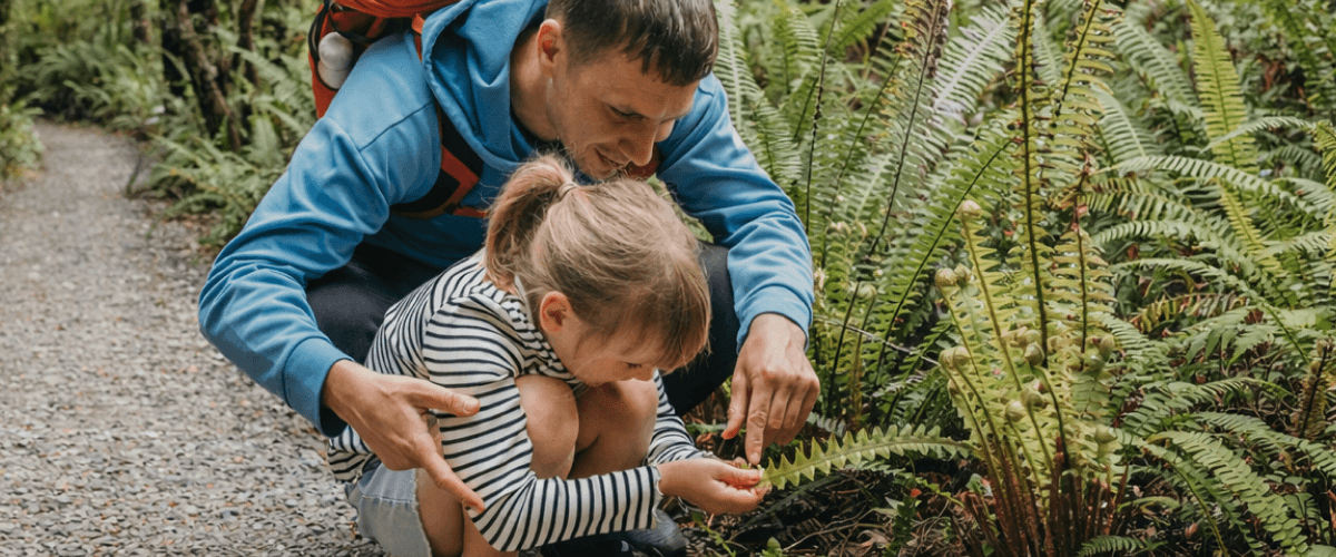 O2B’s Five Best Natural Health Products for the Whole Family
