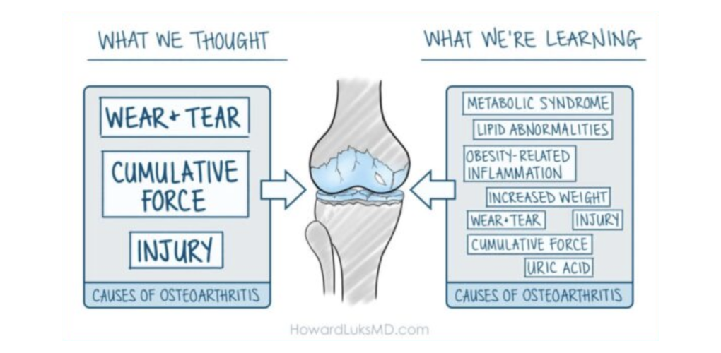 The ‘Inside-Out’ Metabolic Approach to Joint Health