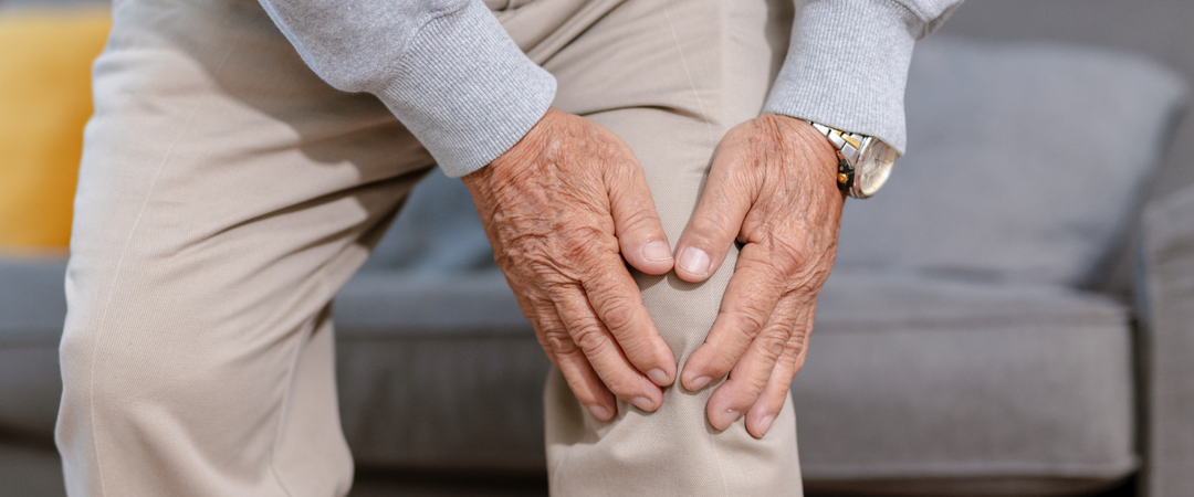 The Science Behind Glucosamine And Chondroitin: Do They Really Work?