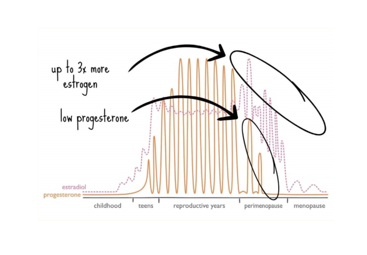 Navigating Perimenopause