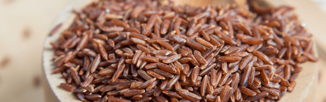 Red Yeast Rice: How does it work?