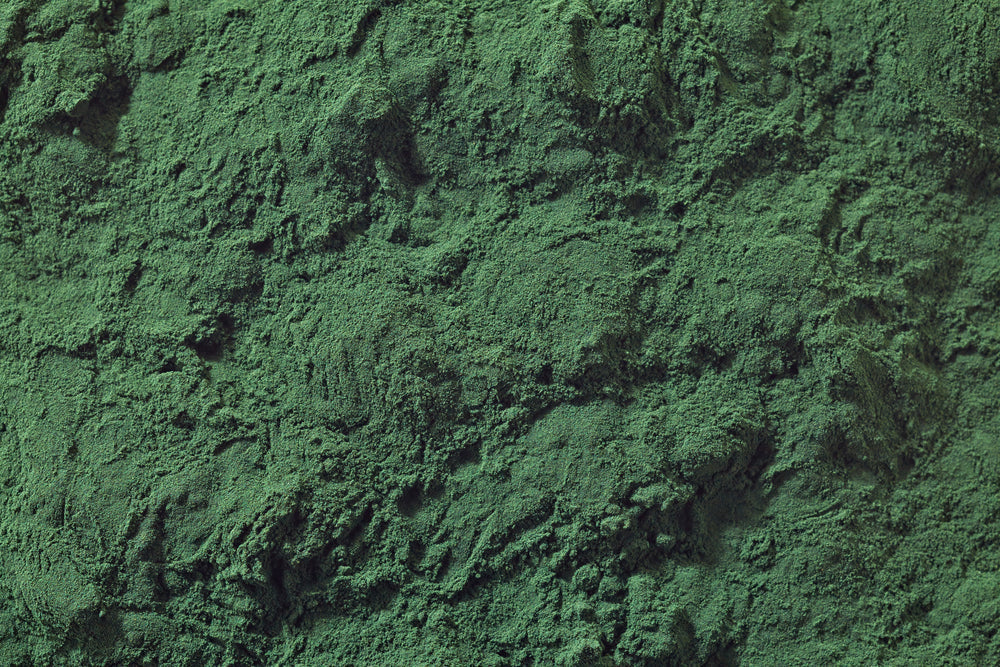 Spirulina