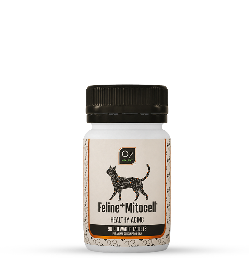 O2B Feline⁺ Mitocell