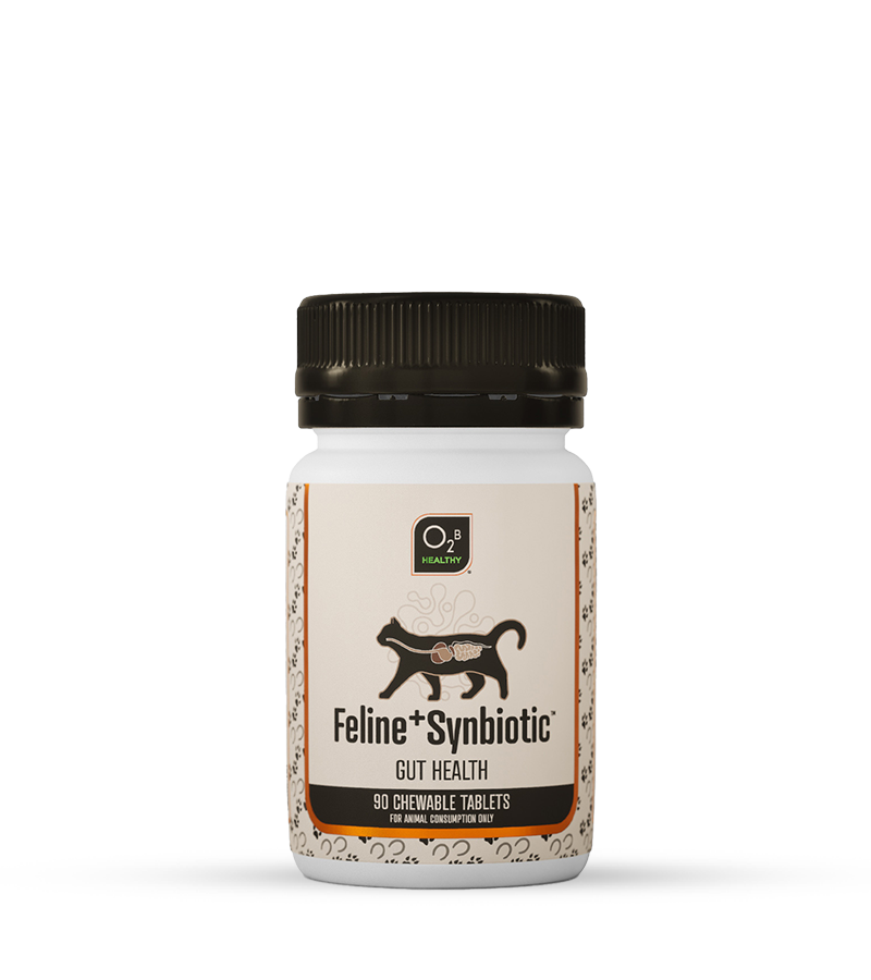 O2B Feline⁺ Synbiotic