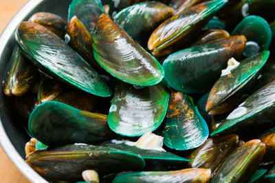NZ Greenshell Mussel 