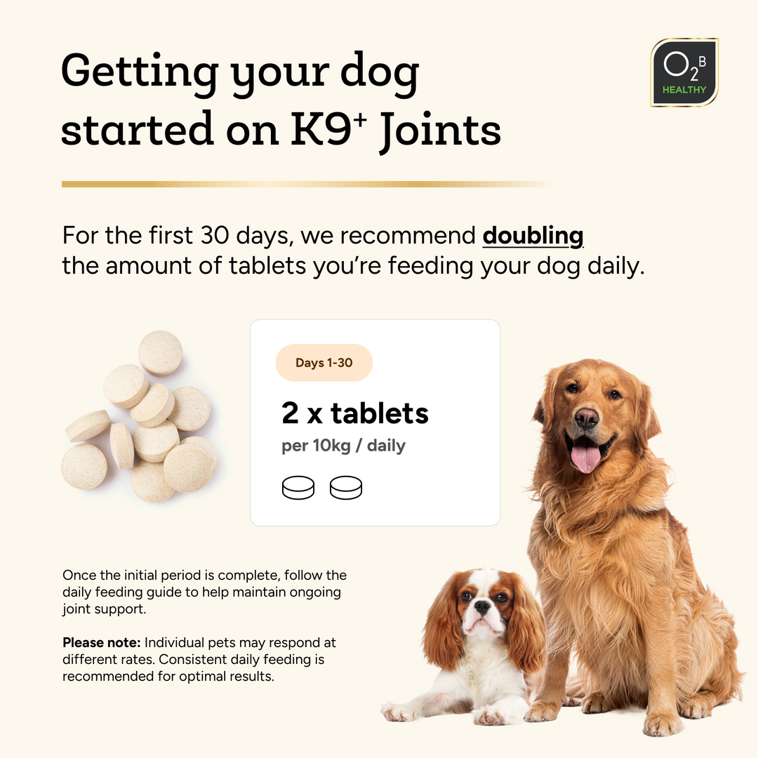 O2B K9⁺ Joints
