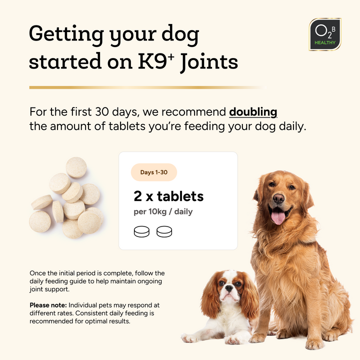 O2B K9⁺ Joints