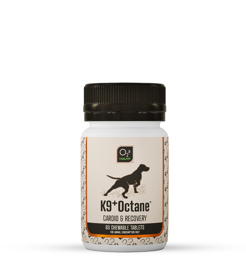 O2B K9⁺ Octane