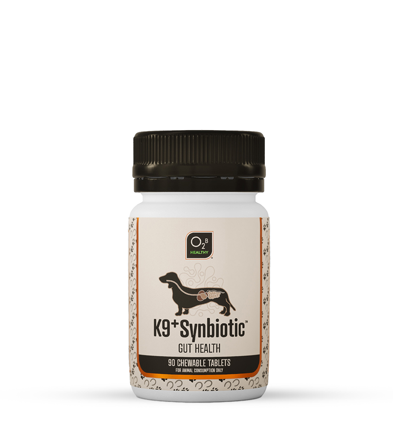O2B K9⁺ Synbiotic