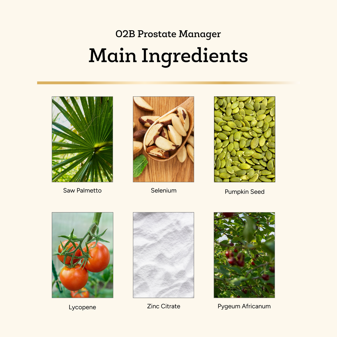 O2B Prostate Manager