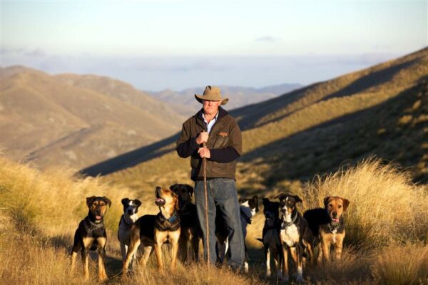 Lloyd Smith Dog Trainer NZ